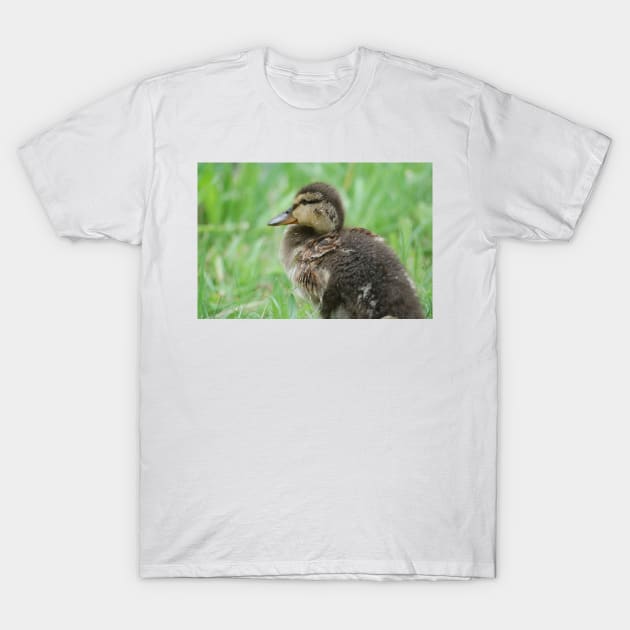 Duckling T-Shirt by DeVerviers